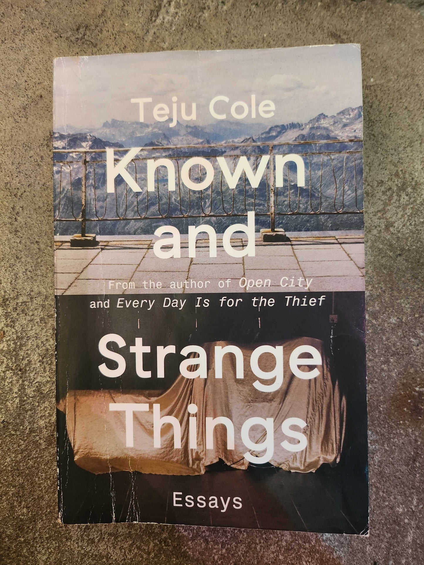 Known and Strange Things: Essays