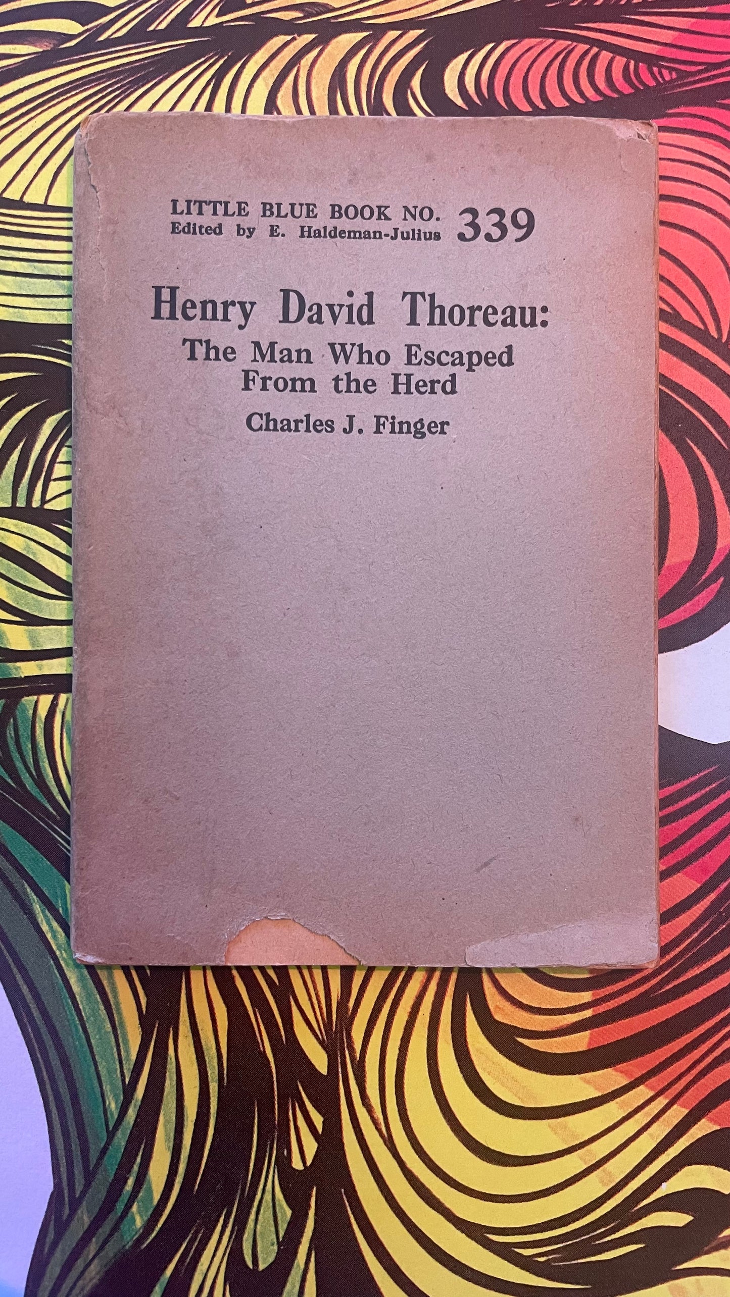 Henry David Thoreau: The Man Who Escaped From the Herd - 339