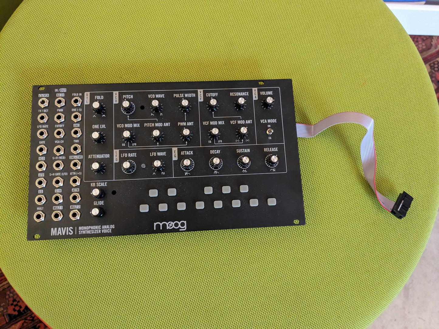 Moog Mavis Monophonic Analog Synthesizer Voice with MOOG KNOBS