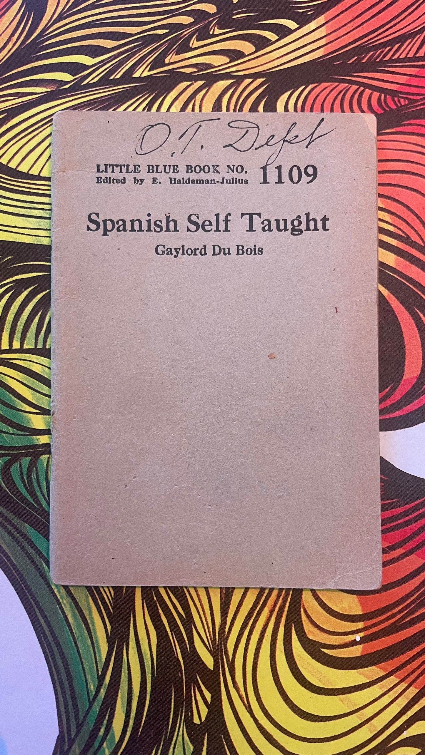 Spanish Self Taught - 1109