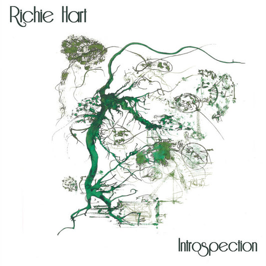 Richie Hart- 'Introspection' LP (Disclosure Records)
