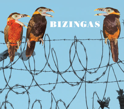 Brian Drye- 'Bizingas' CD (direct from artist)